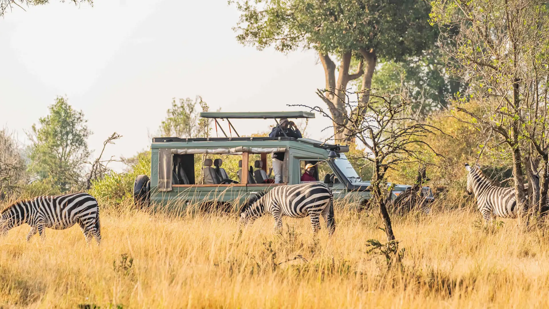 Wildlife in the Mara North Conservancy
